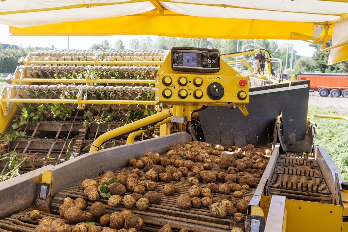 Potato Europe foto 11